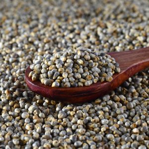 Pearl Millets