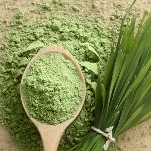 Wheatgrass Powder