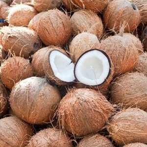 Dried Coconuts